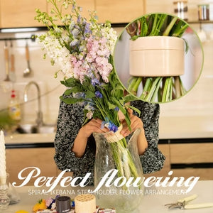 🔥Spring Sale 49% OFF🔥Espiral Ikebana Flower Stem Holder